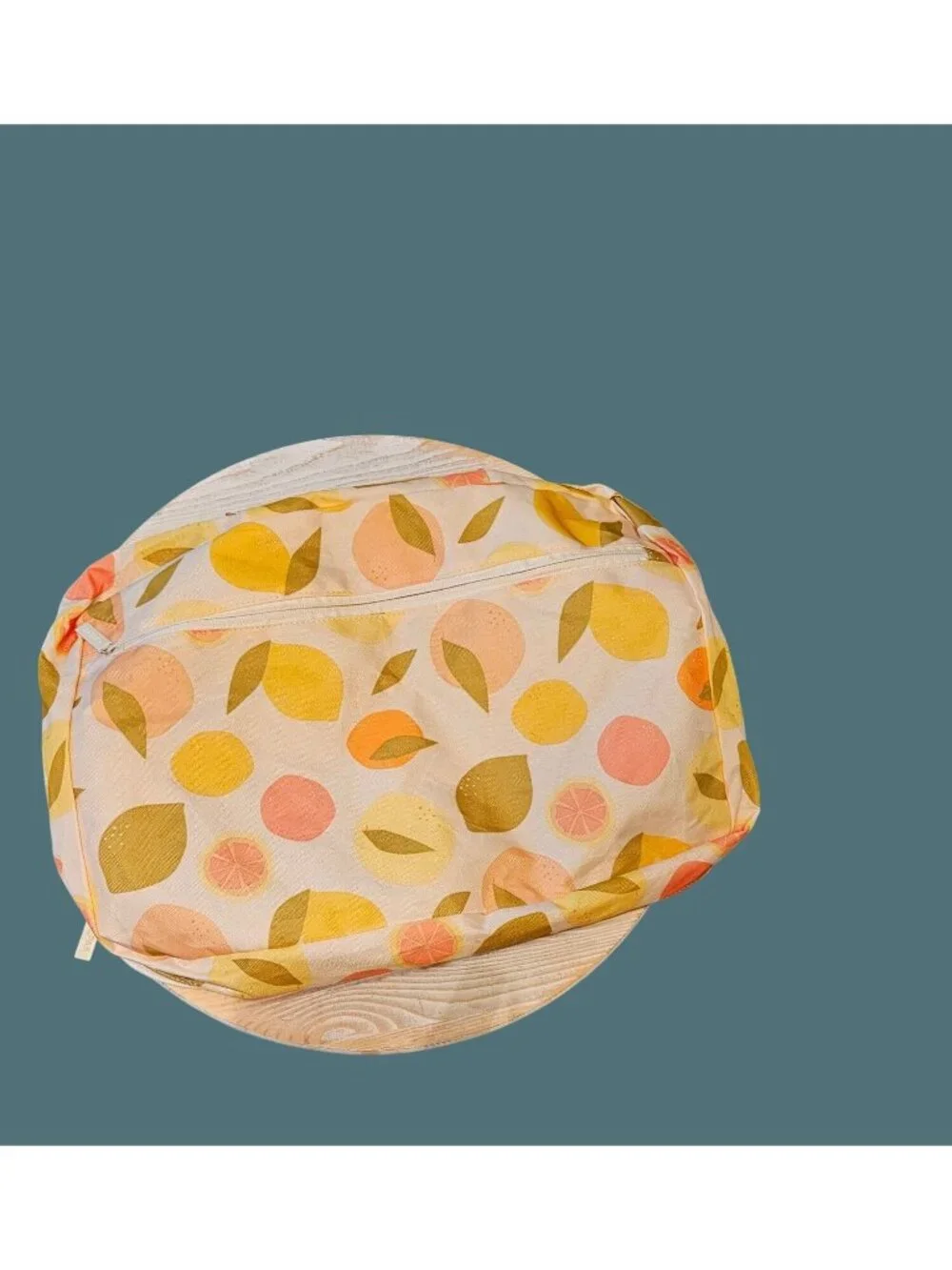 Calpak 2 Zip Around Packing Cube Organizers -Citrus Fruit Pattern